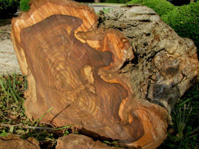 Vietnamese Furniture Wood: Rosewood