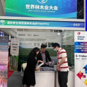 International Furniture Expo: HawaExpo 2024 at 13th World Wood Trade, China