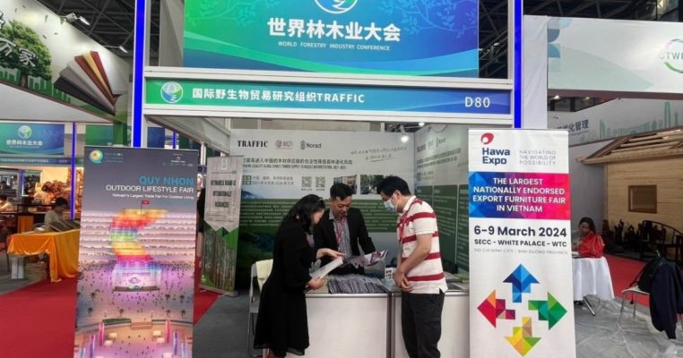 International Furniture Expo: HawaExpo 2024 at 13th World Wood Trade, China