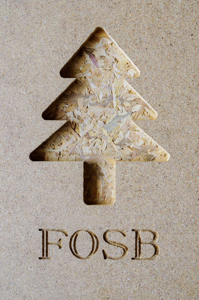 DSC0883 205ad3a500a8129b4ad69cdcea167591