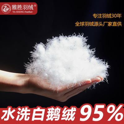 1 696c50c95c42ea9ca37e9c6400994255