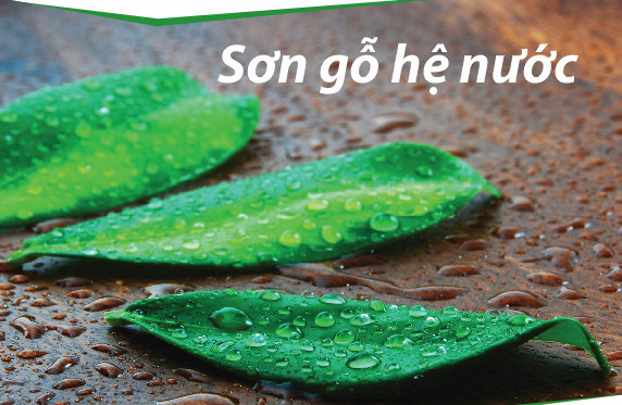 z5023541697793 0406443923e21d28dc9bbd8817accf23 c1eb404776643771 447746326c1842762c60f7868d0c160e