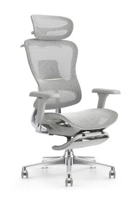 胜豪Pro灰色带脚踏 2 b782313b0e3b91e4d49b21093a78e03b